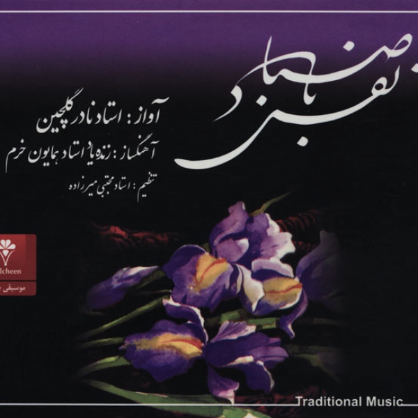 آهنگ نادر گلچین دوباره